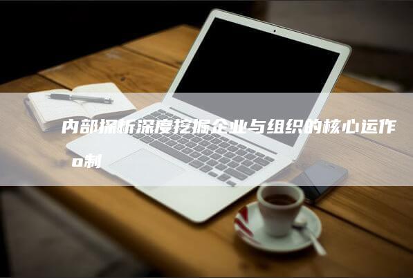 内部探析：深度挖掘企业与组织的核心运作机制